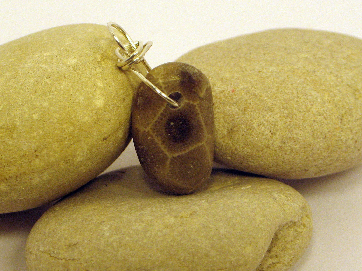 Genuine Petoskey Stone Beach Stone Pendant