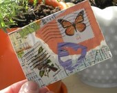birds and butterflies - collage ACEO