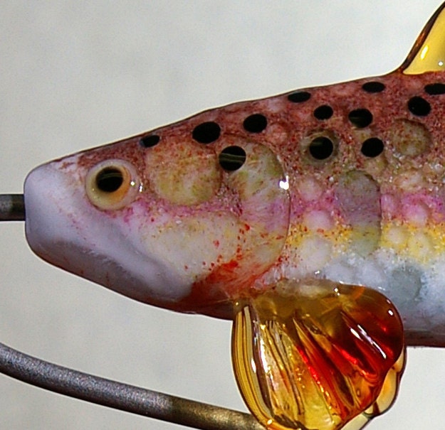 mexican golden female trout - lampwork glass wearable art by cleo dunsmore - grama tortoise