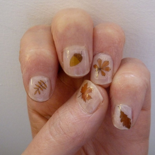 autumn nail transfers