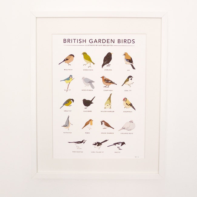 British Garden Birds print