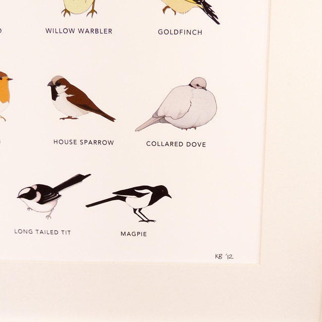 British Garden Birds print