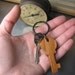 Wooden Key Ring