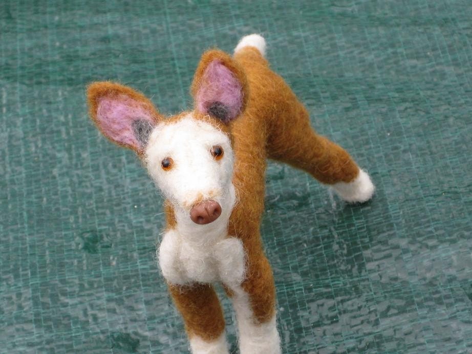 Needle Felted Dog / Custom Miniature Sculpture of your pet / Rare breed Ibizan Hound  by GERRY