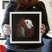 Fancy Pigeon - art print