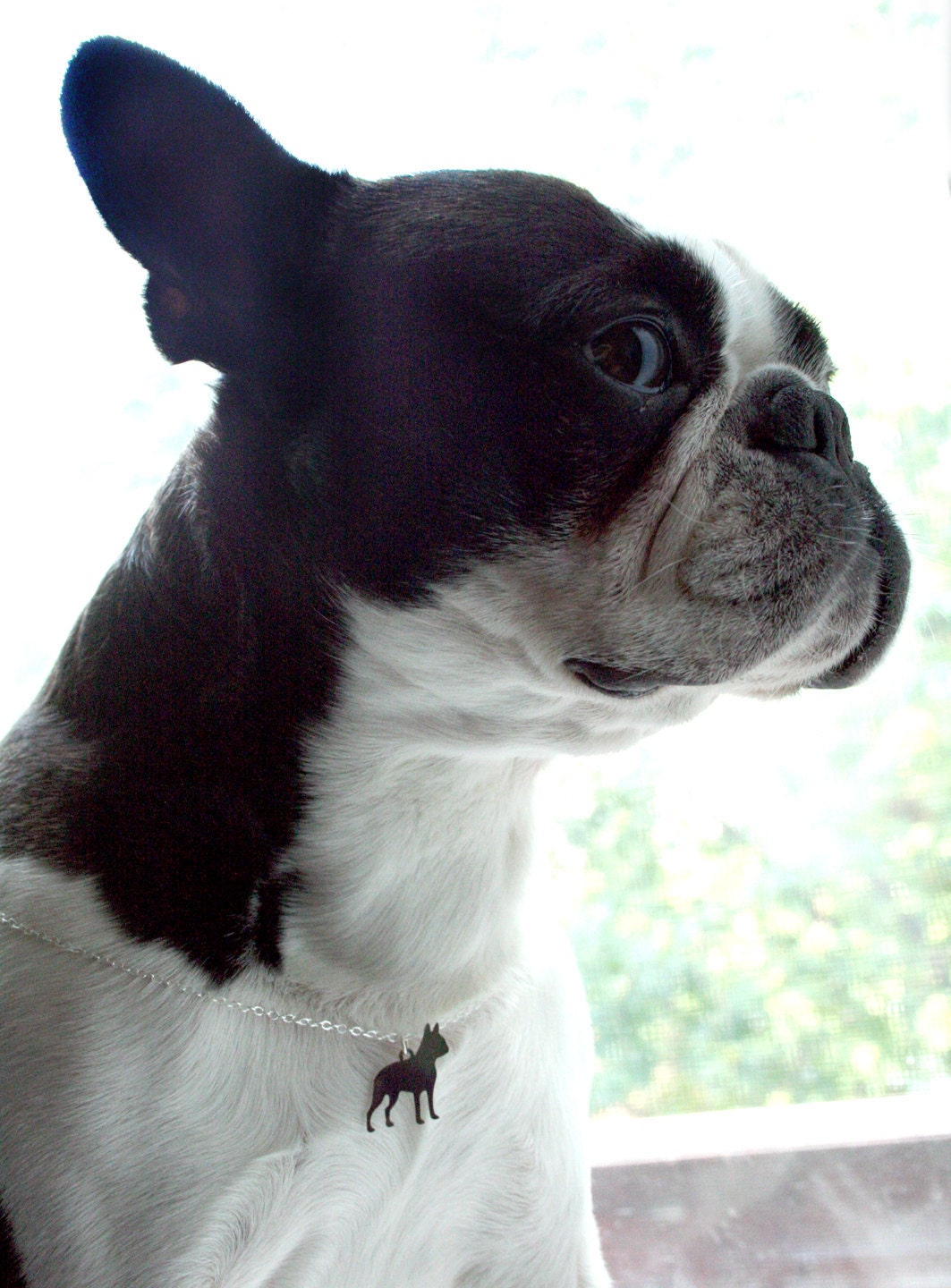 Boston Terrier Necklace