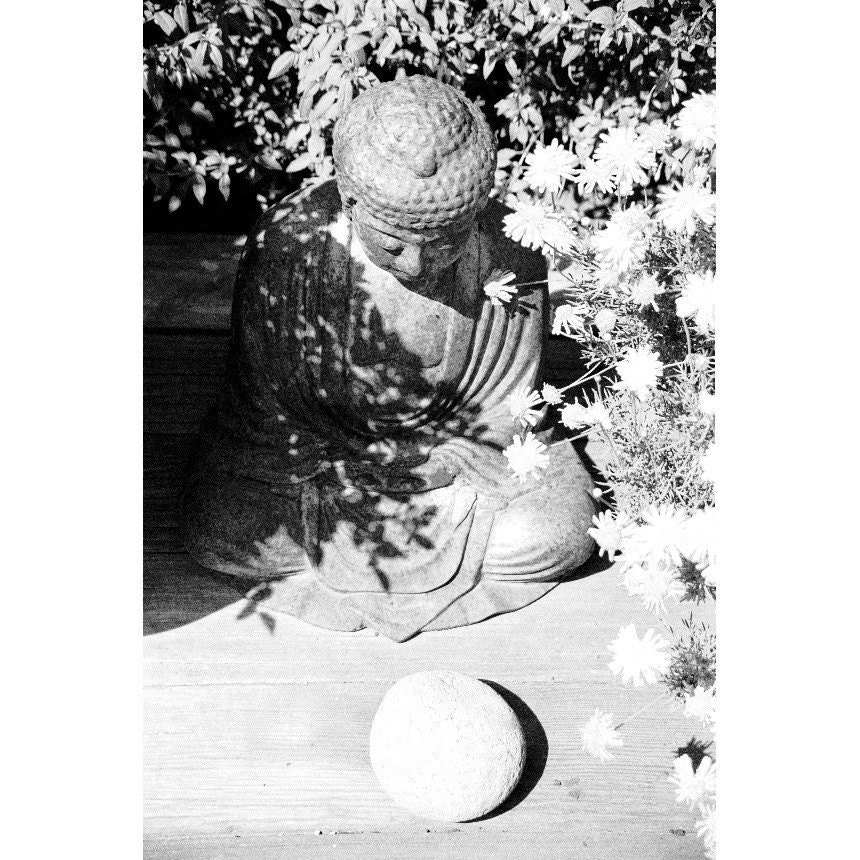 Buddha in Garden - 8x12 Signed Photo