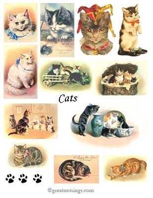Cats Kittens Digital Collage Sheet No. 111