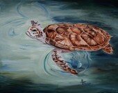 Green Sea Turtle Original Oil Painting