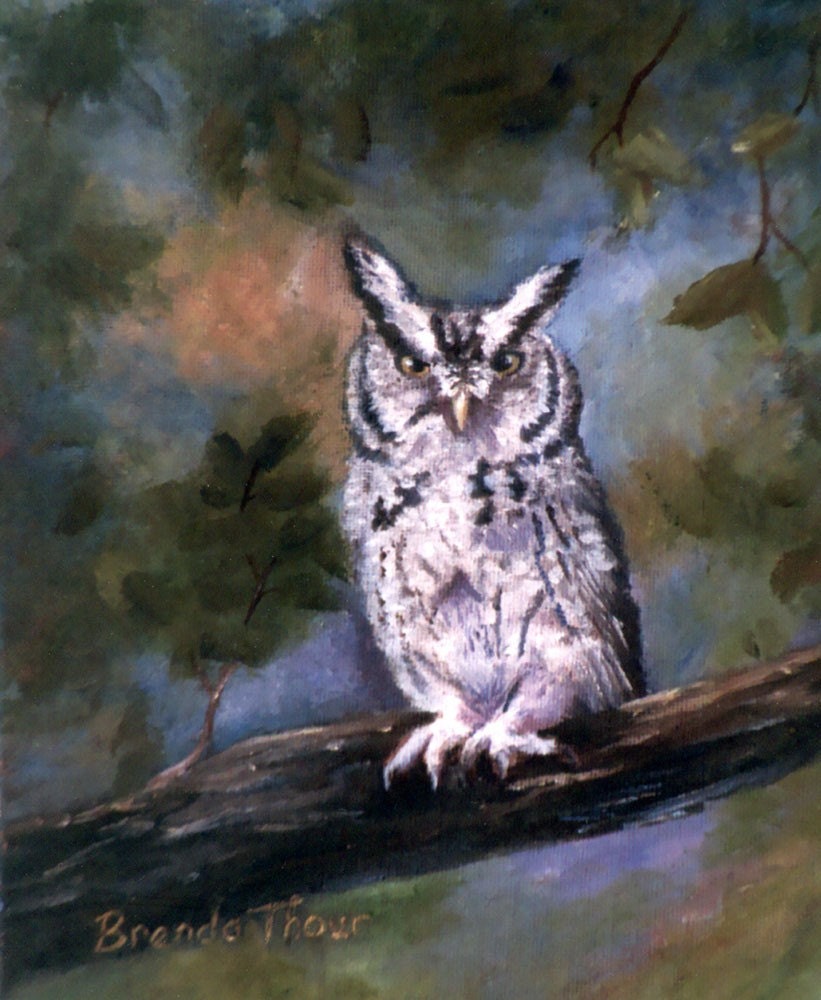 Screech Owl Original Oil Painting