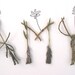 3 Letter twig word