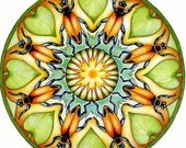 Soldier Beetle Mandala
