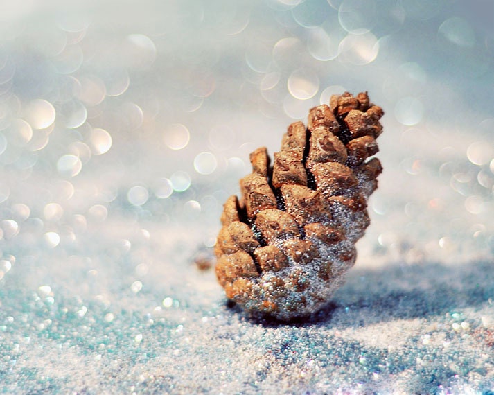 Pinecone Photograph - Snow Cone 5x7 Nature Print - holiday icy blue winter white bokeh photography - ellemoss