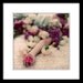 Flower Portrait, 5x5 Photography,  Offering, Dreamy Pink Purple Flowers Print