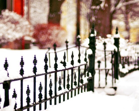 Winter Photograph,  November Snow, 11x14 Print, Snowy Fence, Shabby Chic, Landscape Photo, Fine Art Photography