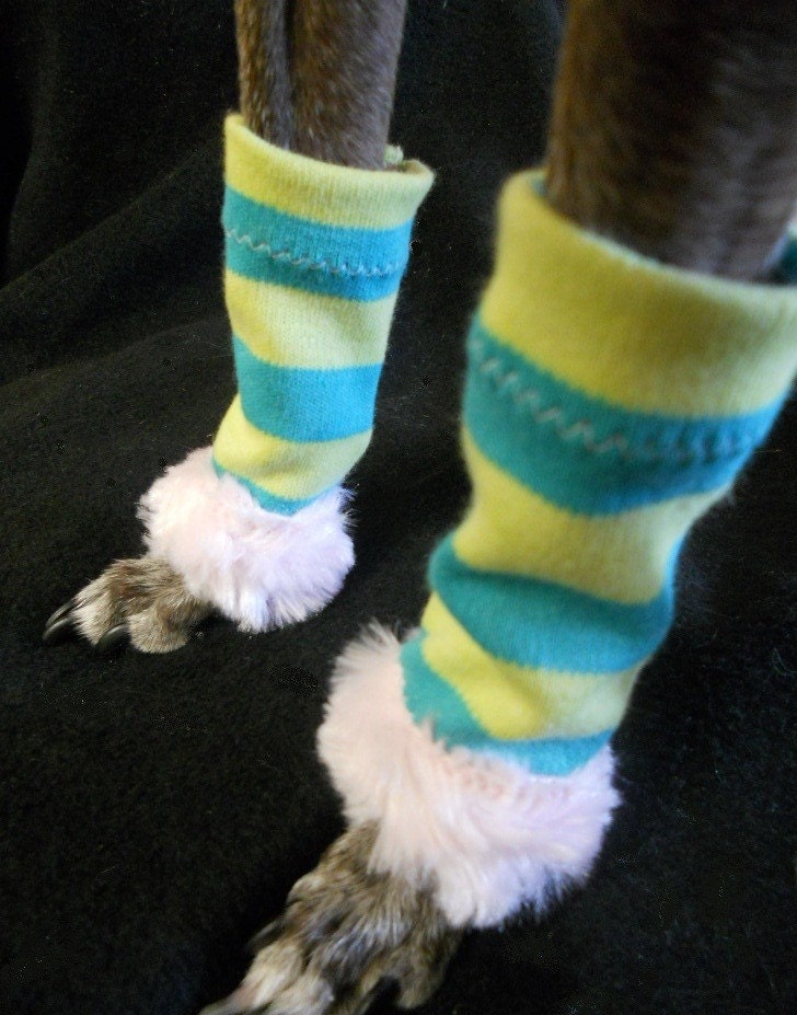 Dancewear for Dogs striped leg warmers for dogs