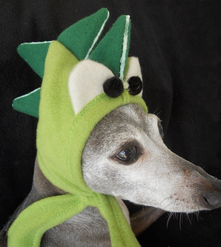 Dogosaur Pet Hat with glow in the dark accents