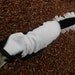 Lil' Stinker Skunk Dog Jammie Costume custom made small 15 pound dog