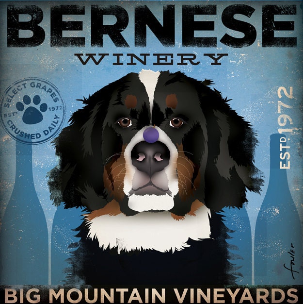 Bernese Mountain Dog Winery original graphic illustration on canvas 12 x 12 by Stephen Fowler