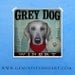 Weimaraner Winery  original graphic illustration giclee archival signed artist's print 12  x 12 by stephen fowler