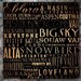Ski and snowboard resorts of the world typography artwork on canvas 12 x 12 by stephen fowler