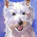 West Highland White Terrier Art Print of Original Watercolor Painting - 11x14