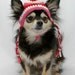 Dog hat crocheted, XS/SM, Pink, Red, White, Valentines Day favorite