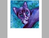 Tuxedo Cat Kitten - 5 Blank Note Cards With Matching Envelopes - Ranlett - A4C
