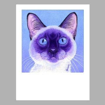 Siamese Cat Art - 5 Blank Note Cards With White Envelopes - Ranlett - A4C