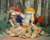 Mushroom State Park Visitor Center   Set of four 5X7 blank greeting cards