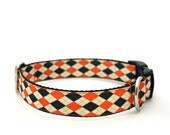 1" dog collar Monster's Ball buckle or martingale collar
