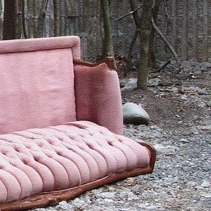 Discarded Beauty