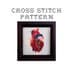 DIY Anatomical Heart - .pdf Original Cross Stitch Pattern - Instant Download