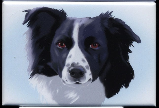 Border Collie cute dog art magnet - rubenacker