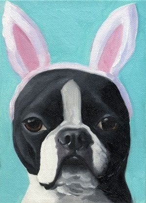 Boston Terrier Wearing hats series  Number 25