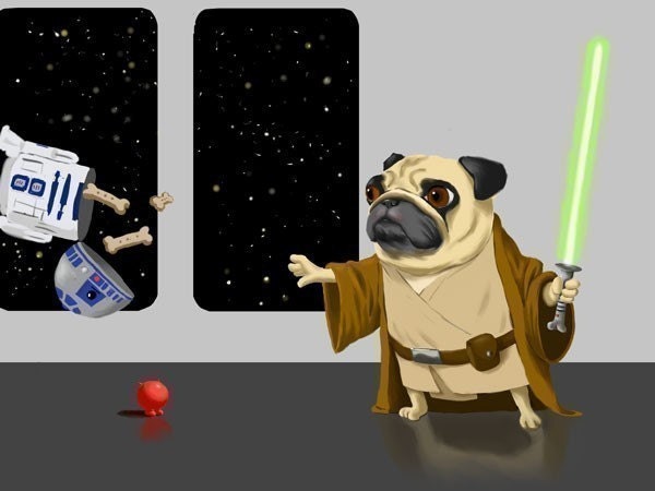 Pug Jedi dog art print