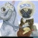 Han Pug on Tauntaun Magnet