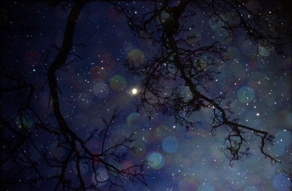 In the fields of stars - magical dreamy night sky photograph in navy blue
