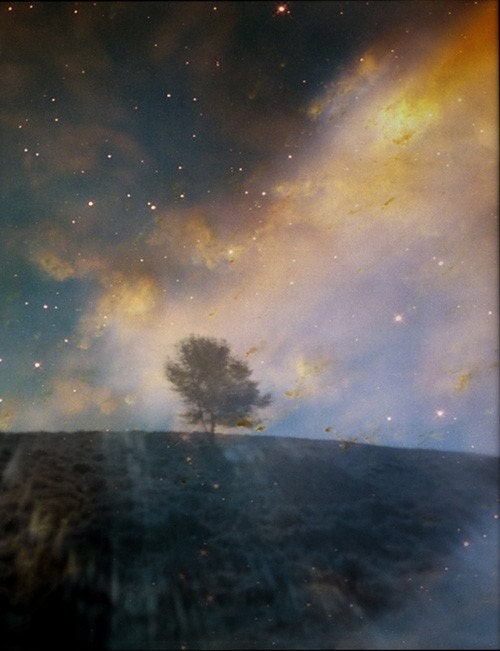 Twilight. Original 5x7 fine art photograph