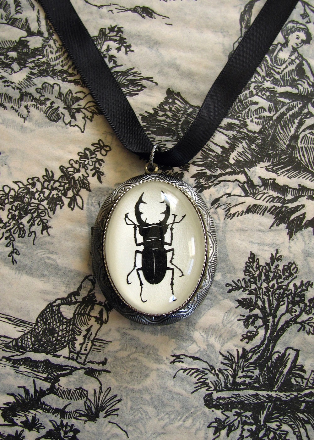 Stag Beetle Locket Necklace - locket pendant on ribbon