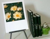 Polaroid Painting - Daisies Signed Fine Art Photograph - 5x5 inch image