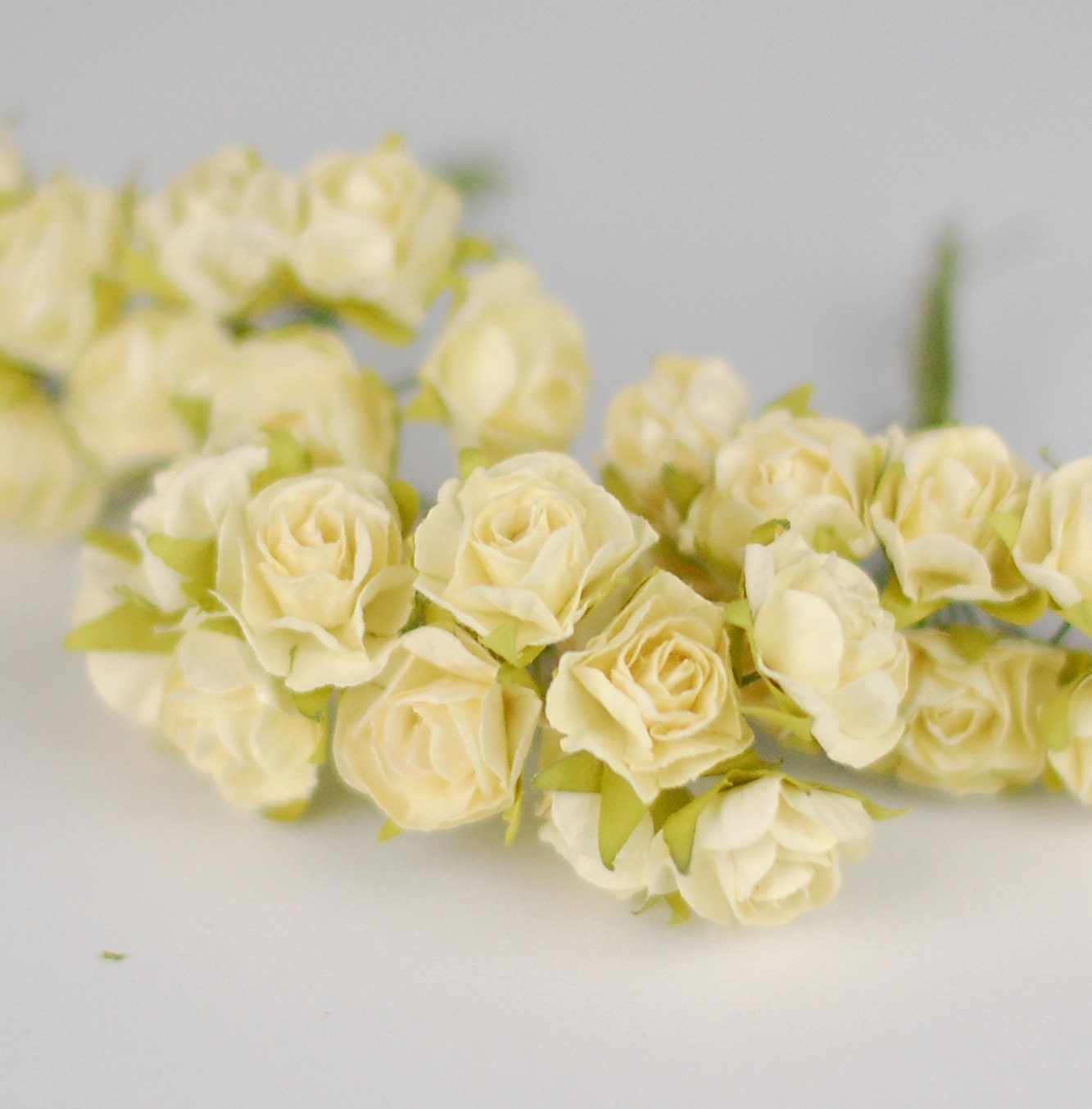 Paper Ivory Rose Stems