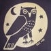 Woodland Grey Owl Adult Tee