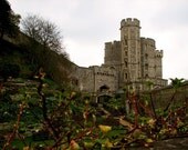The Fortress