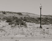 A Light in the Desert