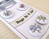 Bugs Pinback Buttons - Bugs In A Jar - Set of 4 1 inch Pin Back Buttons