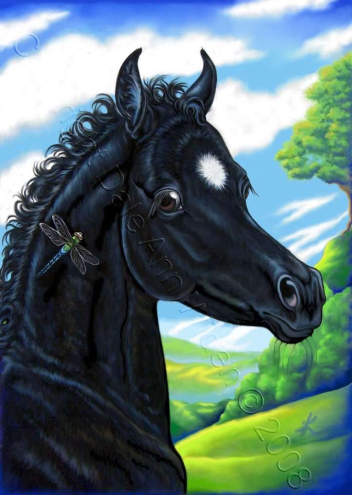 ACEO Horse Foal Illustration Art Print Beauty and the Dragonfly Black Beauty