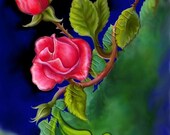 ACEO Midnight Rose High Quality Art Flower Print