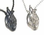 Sterling Silver Anatomical Heart Necklace