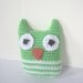 Mama and Baby Owl Crochet Pattern - finished items made from pattern may be sold